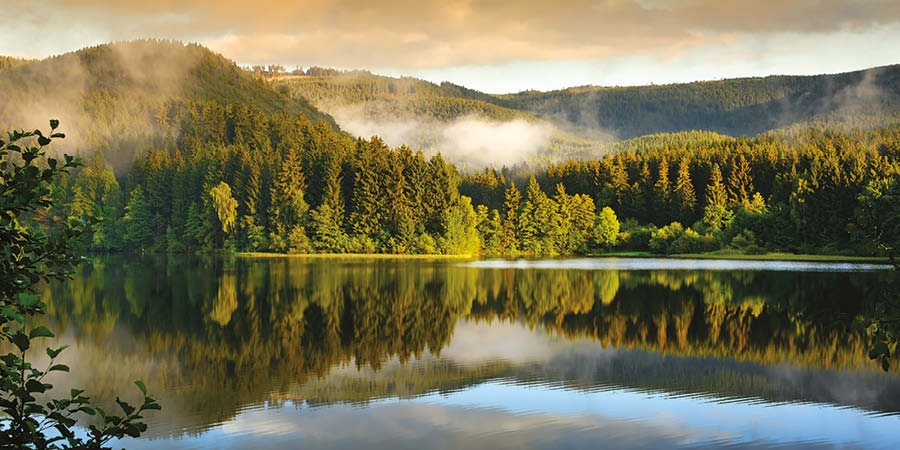 Harz Mountains & the Rhine Gorge