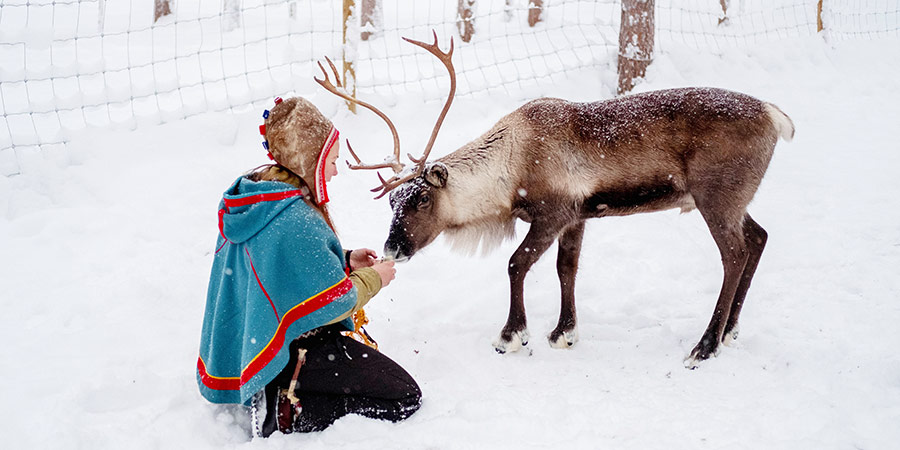 Enjoying a traditional Sámi experience