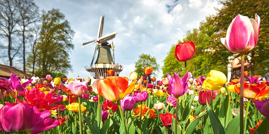 Keukenhof Flower Garden