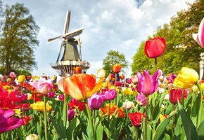 Keukenhof Gardens