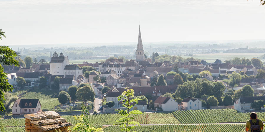 Walking to world-famous vineyards for wine-tastings